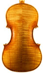 violin back